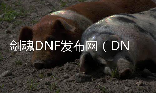 剑魂DNF发布网（DNF发布网剑魂工作服）