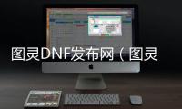 图灵DNF发布网（图灵平台是什么）