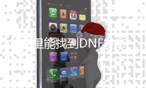 从哪里能找到DNF发布网群