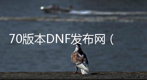 70版本DNF发布网（DNF发布网与勇士70怀旧版）