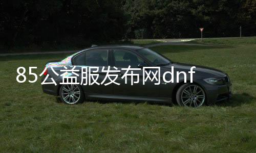 85公益服发布网dnf（dnf公益服发布网服务器在哪买）