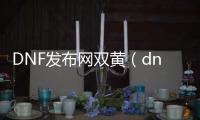 DNF发布网双黄（dnf彻底黄了）