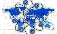 DNF发布网刺客（DNF发布网刺客好玩吗）