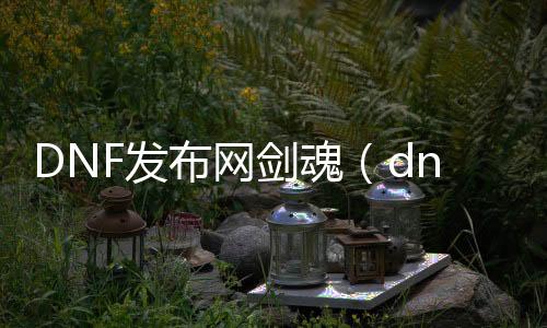 DNF发布网剑魂（dnf剑魂eijipk）