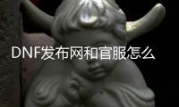 DNF发布网和官服怎么放置