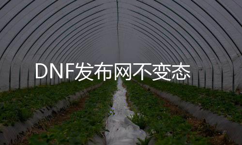 DNF发布网不变态