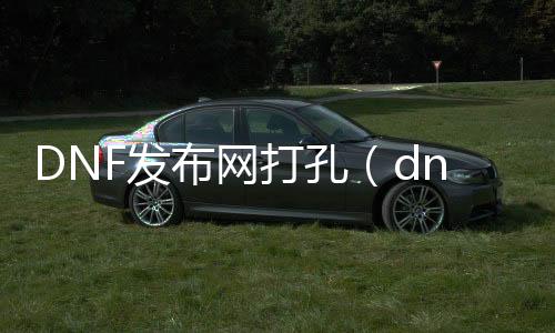 DNF发布网打孔（dnf在哪儿打孔）