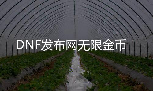 DNF发布网无限金币