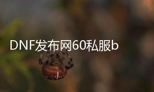 DNF发布网60私服bug（DNF发布网60版本服务端下载）