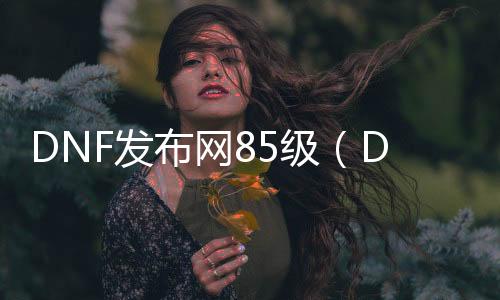 DNF发布网85级（DNF发布网85级什么时候开的）