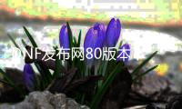 DNF发布网80版本下载