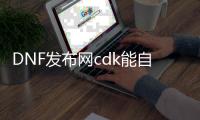 DNF发布网cdk能自己随便编（DNF发布网的cdk怎么获得）