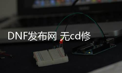 DNF发布网 无cd修改（DNF发布网装备修改器）