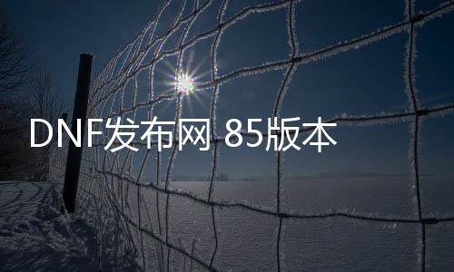 DNF发布网 85版本私服人最多（DNF发布网85b）