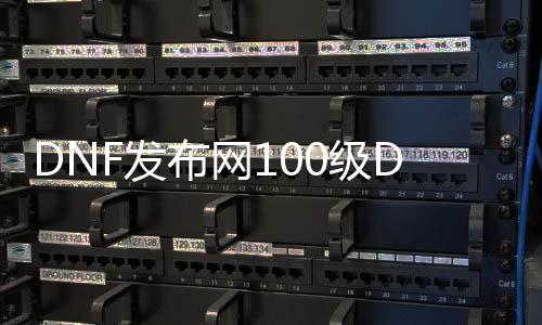 DNF发布网100级DNF发布网（DNF发布网与勇士100版本攻略）