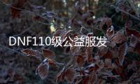 DNF110级公益服发布网是什么意思, DNF110级公益服发布网玩法介绍