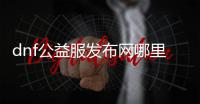 dnf公益服发布网哪里玩（推荐几个好玩的dnf公益服发布网）