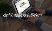 dnf公益服发布网名字大全（dnf公益服发布网服务器在哪买）