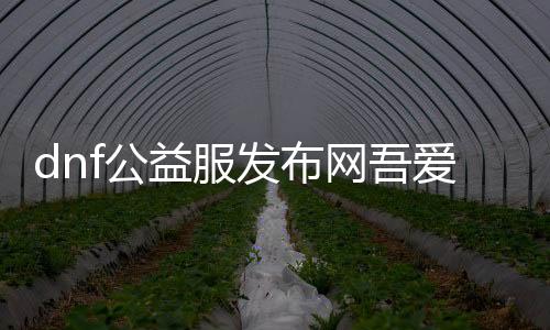 dnf公益服发布网吾爱（dnf95公益服发布网）