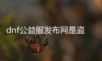 dnf公益服发布网是盗版吗（揭秘dnf公益服发布网的真相）