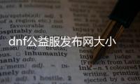 dnf公益服发布网大小（dnf公益服发布网怎么赚钱）