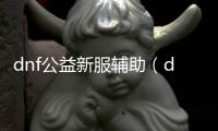 dnf公益新服辅助（dnf公益服发布网服务器在哪买）