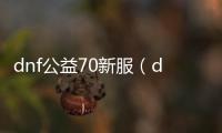 dnf公益70新服（dnf公益服发布网100级版本）