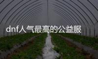 dnf人气最高的公益服发布网直播（带你感受最火爆的DNF公益服发布网直播）