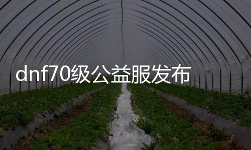 dnf70级公益服发布网漏洞（dnf公益服发布网最新版辅助）