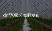 dnf70级公益服发布网游戏推荐（体验最火爆的公益服发布网版本）