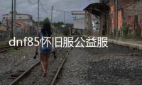 dnf85怀旧服公益服发布网（DNF85版本公益服发布网的特点与玩法介绍）