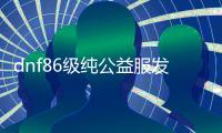 dnf86级纯公益服发布网（dnf86版公益服发布网）