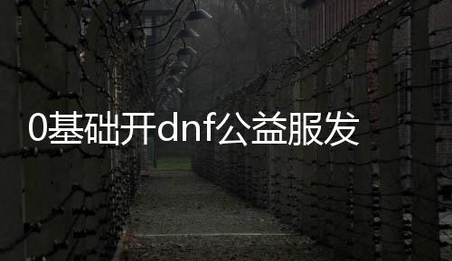 0基础开dnf公益服发布网（dnf公益服发布网违法吗）